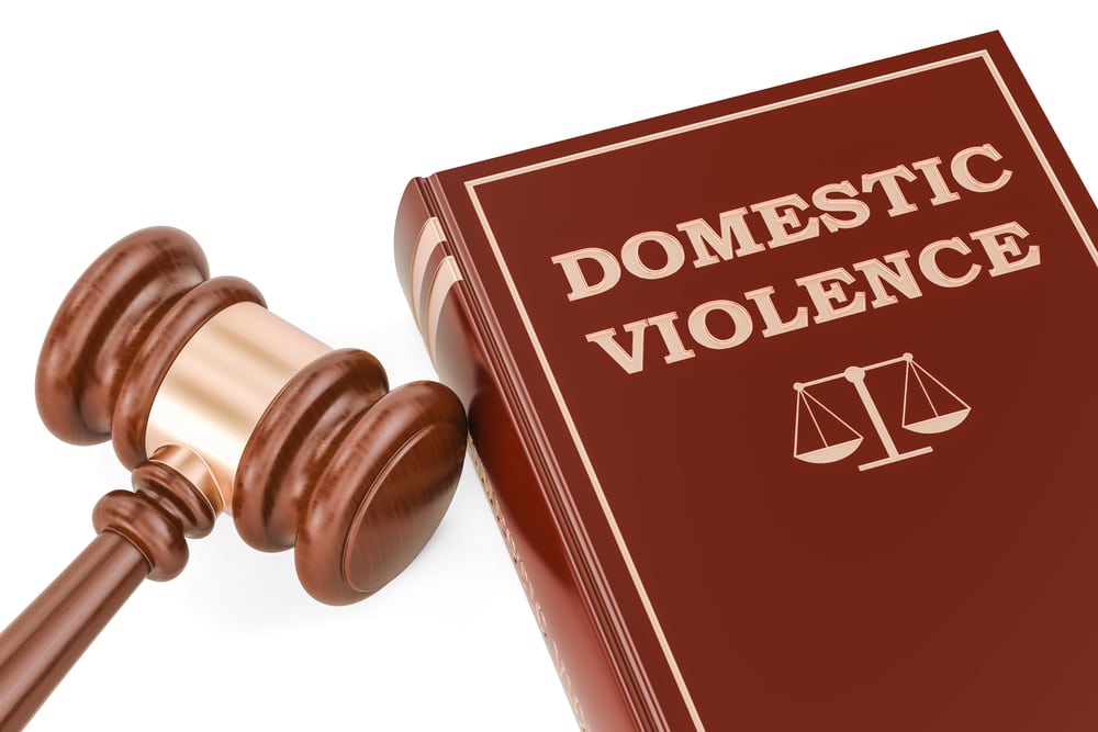 Gavel and Domestic violence book